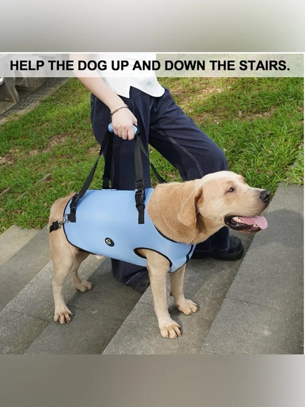 Adjustable Light Blue Dog Support Harness with Padded Lift Handles